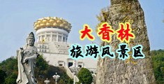 中美日韩浪潮性爱av在线免费观看中国浙江-绍兴大香林旅游风景区